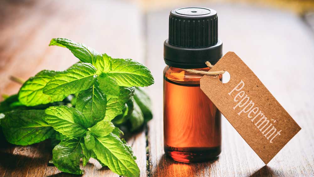 peppermint Oil