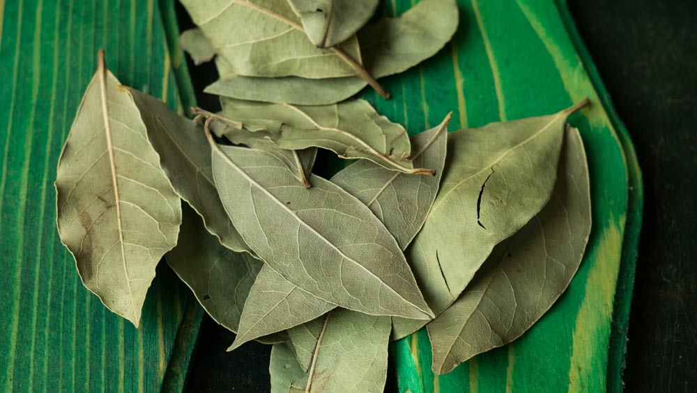 bay leaves