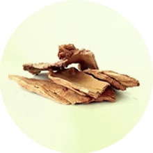 Arjun chaal extract