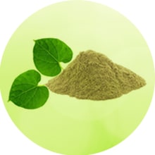Giloy extract