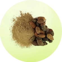 Jamun seed extract