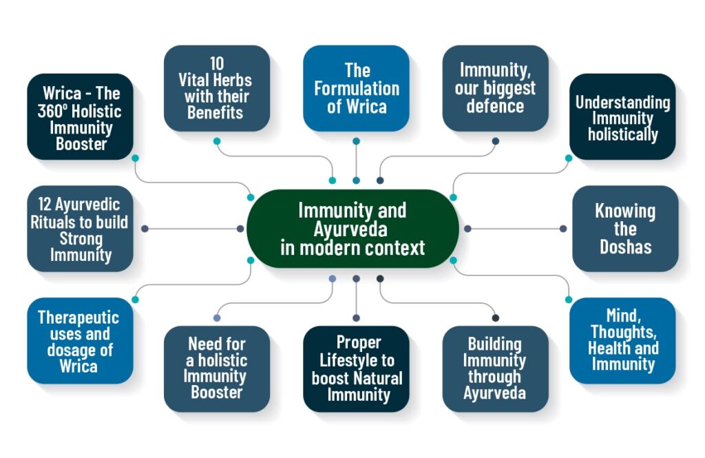 immunity-cycle-new-min