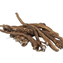 Akarkara benefits for testosterone booster