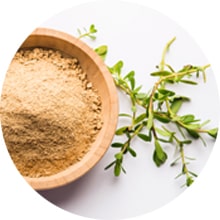 Brahmi benefits for hair fall