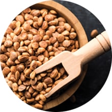 Chironji Benefits - hair fall control