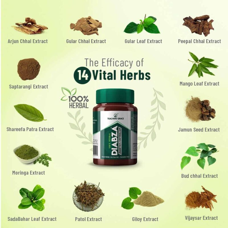 DIABZA Ingredients – Ayurvedic diabeties control medicine