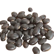Kaunch Beej benefits for erectile dysfunction