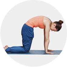 Marjaryasana - yoga for sexual health