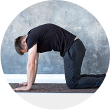 Marjaryasana