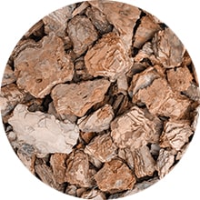 Pine Bark Benefits For Skin