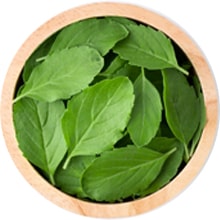 Tulsi benefits for hair fall