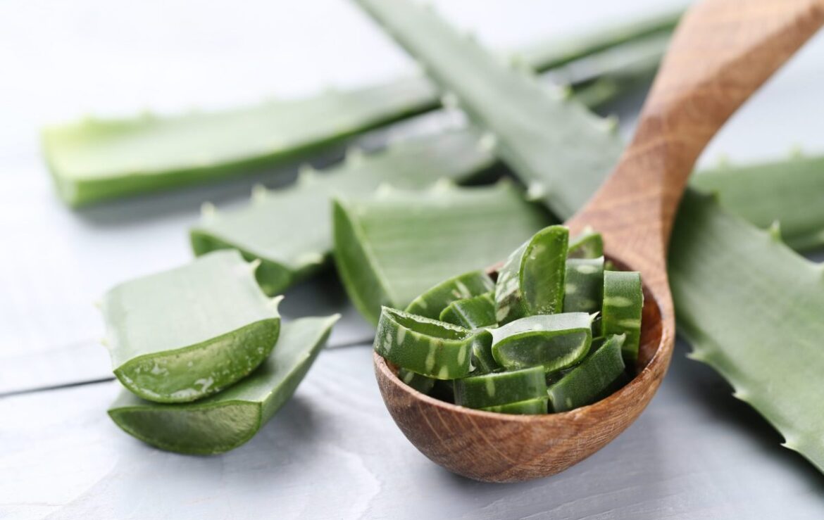 benefits of aloe vera