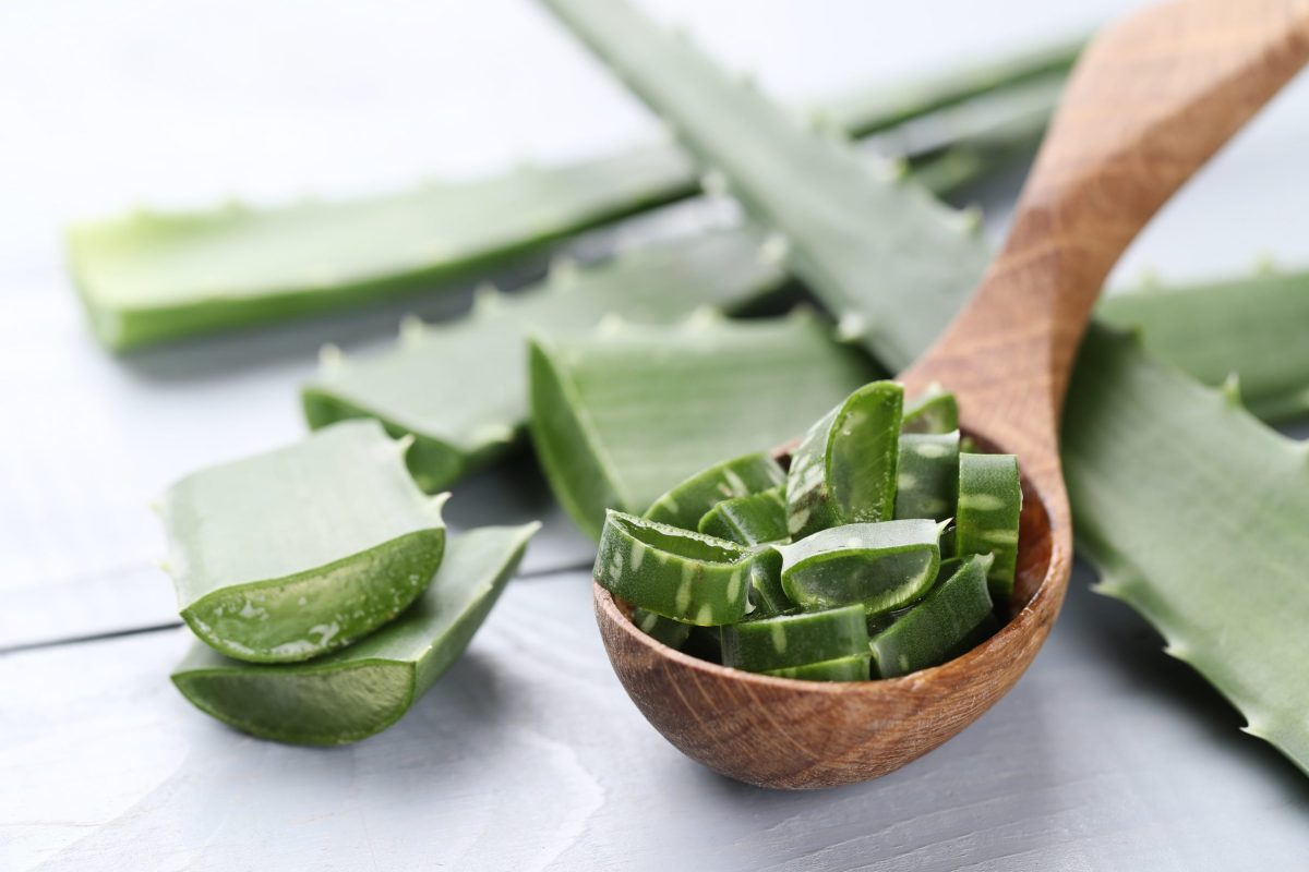 9 Astounding Benefits Of Aloe Vera