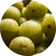 Amla benefits for skin