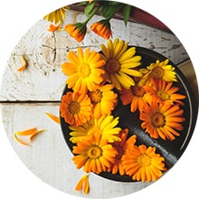 Calendula benefits for skin