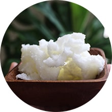 Shea Butter benefits for skin
