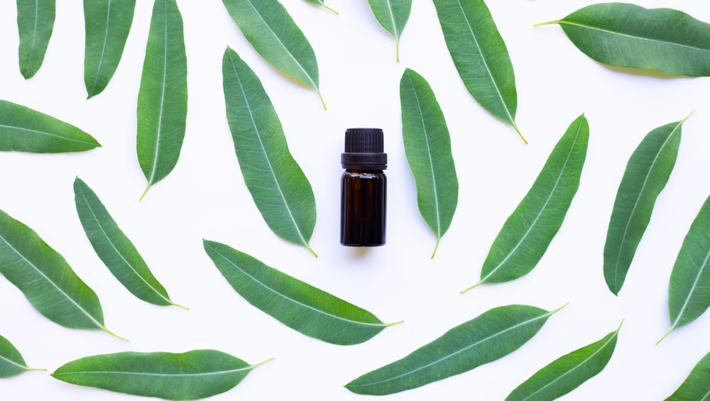 The Aromatic Eucalyptus Oil