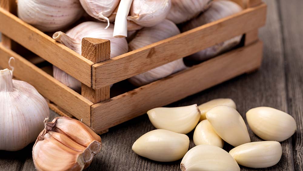 health benefits of garlic