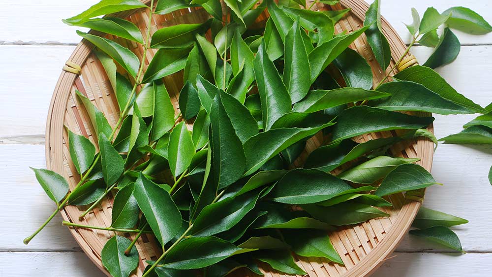 homemade oils for hair growth