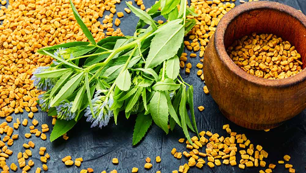 homemade oils for hair growth