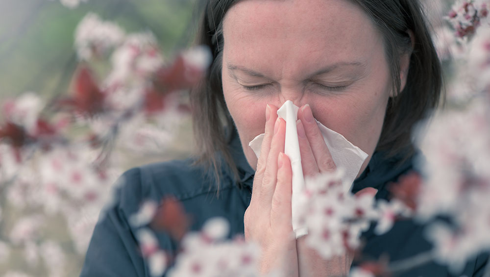 Nasal Allergy Treatment