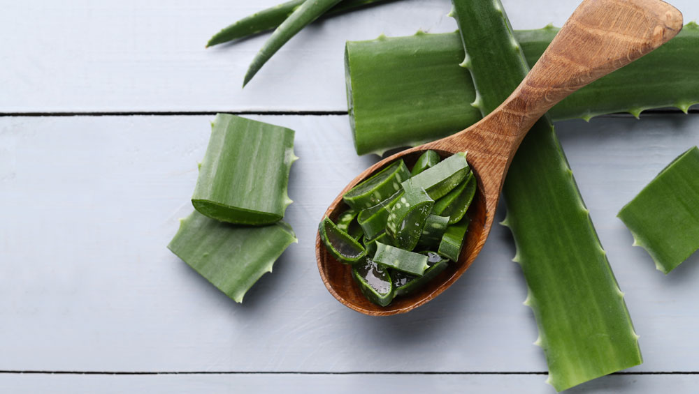 benefits of aloe-vera