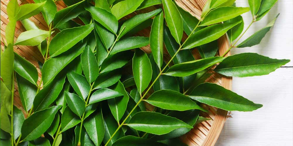 benefits of neem oil
