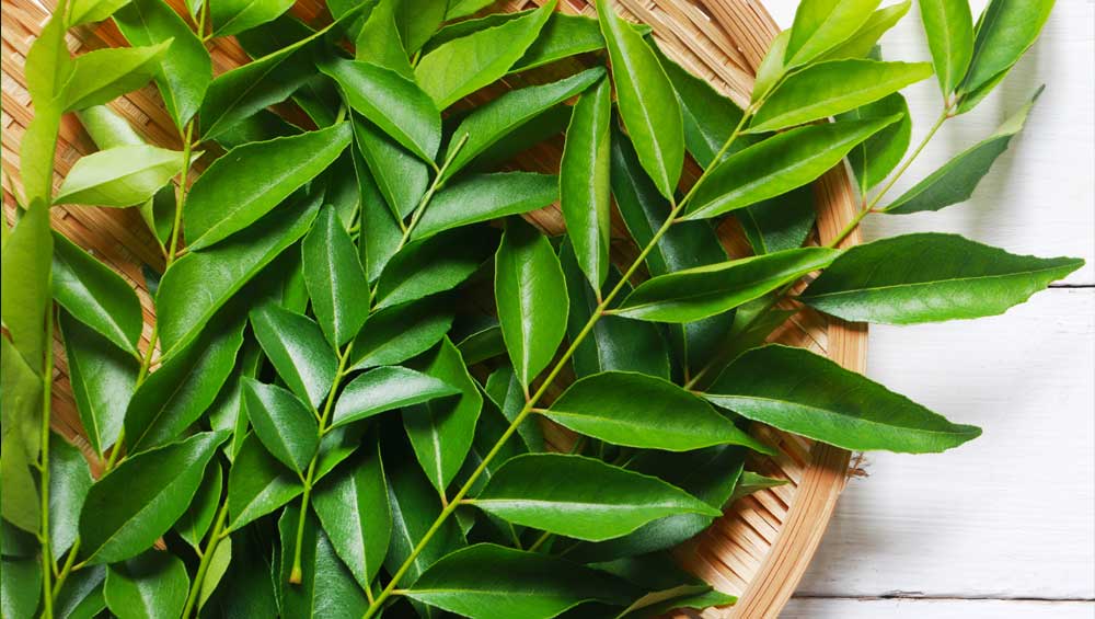 9 Amazing Benefits of Neem Oil for Skin and Hair