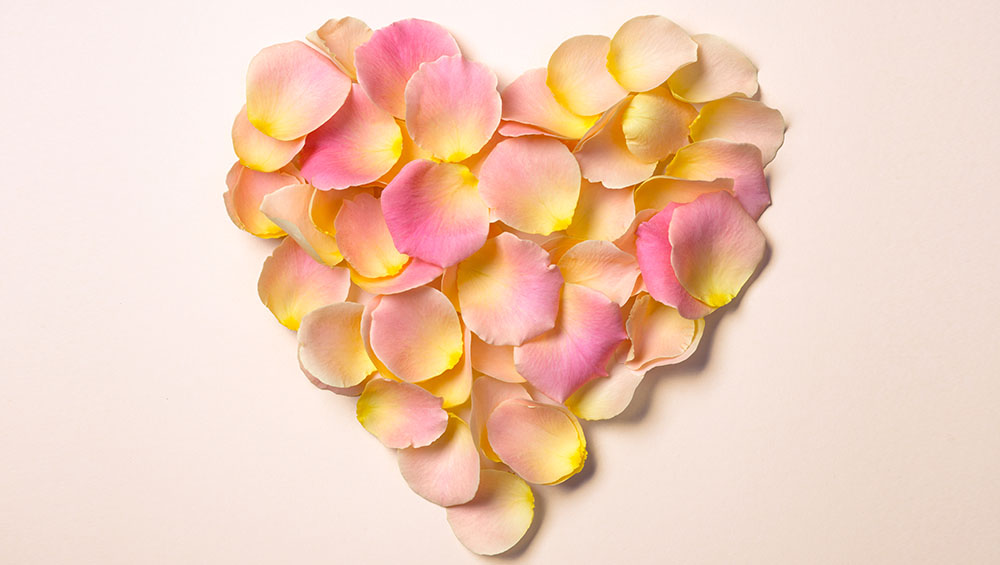 benefits of rose petals