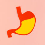 increase digestion power