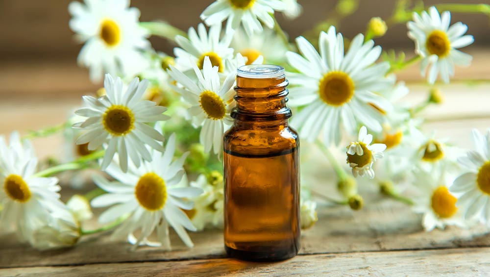 chamomile oil