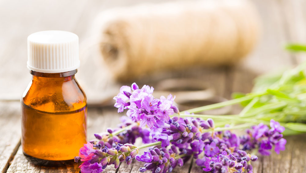 lavender oil