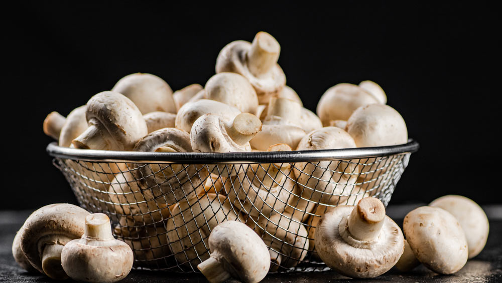 mushroom for vitamin d