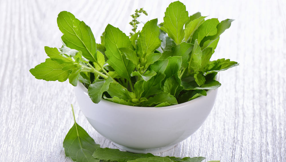 basil