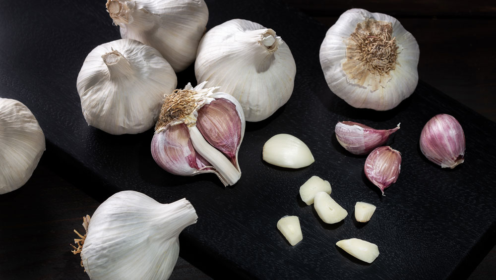 garlic