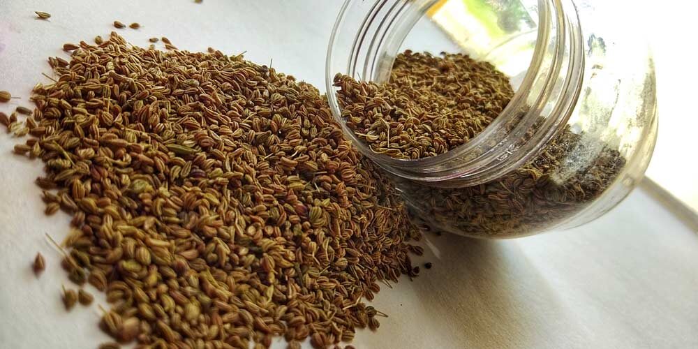 benefits of Ajwain