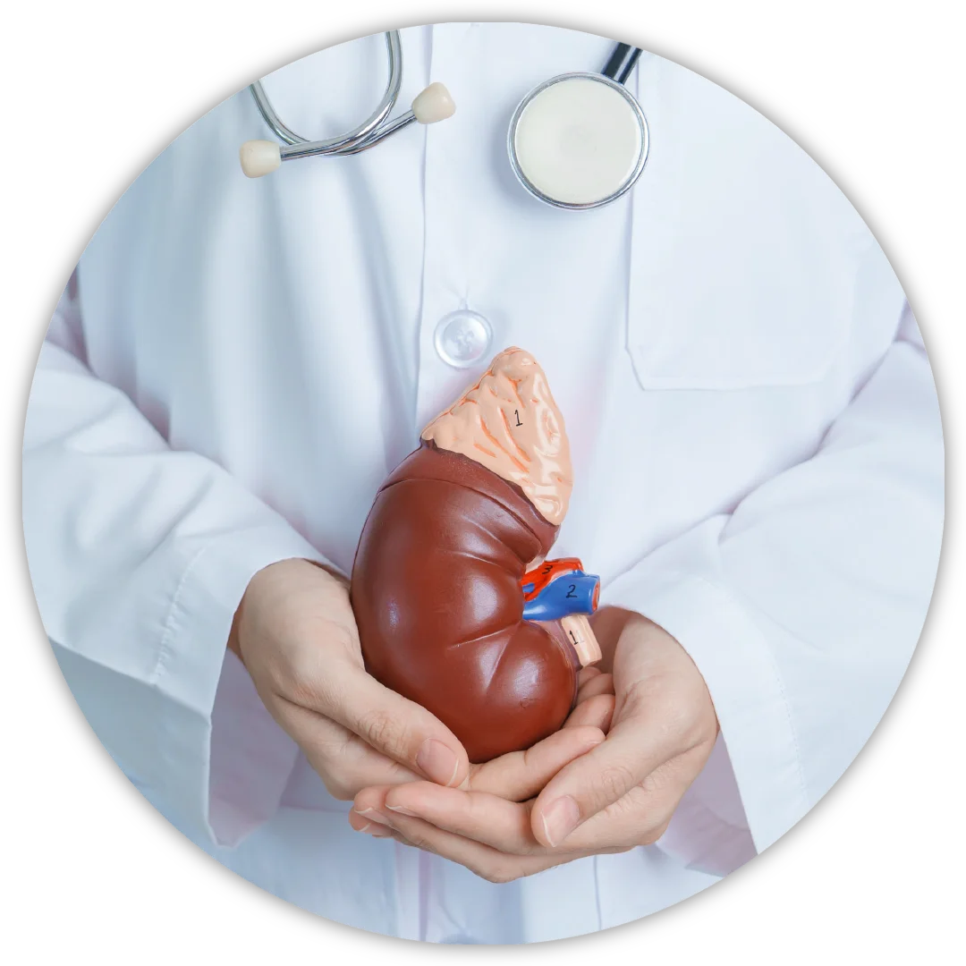 Kidney Health