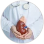 Kidney Health