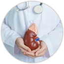Kidney Health